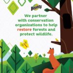 Bounty White, Select-A-Size Paper Towels (12 Double Rolls) 003077206130