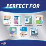 DampRid 11 oz. Fresh Scent Refillable Moisture Absorber FG01FSSB