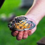 FOGO 35 lbs. Premium Lump Charcoal and Blazaball Chimney FB35+BL