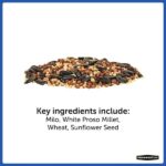 Pennington 22.5 lb. Wild Bird Seed Food Blend Bucket 100542134