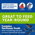 Pennington 40 lb. Wild Bird Seed Food 100542059