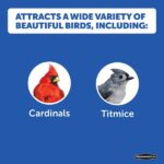 Pennington 40 lb. Wild Bird Seed Food 100542059