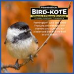Pennington 40 lb. Wild Bird Seed Food 100542059