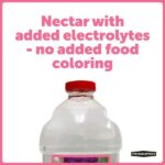 Pennington 64 oz. Hummingbird Clear Electronectar Ready to Use 100543828