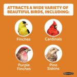 Pennington Premium 10 lb. Wild Finch Bird Seed Food (2-Pack) 100542054