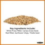 Pennington Premium 10 lb. Wild Finch Bird Seed Food (2-Pack) 100542054