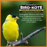 Pennington Premium 10 lb. Wild Finch Bird Seed Food (2-Pack) 100542054