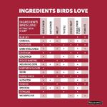 Pennington Premium 11 lb. Black Oil Sunflower Bird Seed Food Bucket 100542135