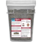 Pennington Premium 11 lb. Black Oil Sunflower Bird Seed Food Bucket 100542135