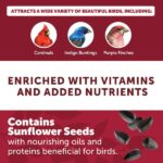 Pennington Premium 40 lb. Black Oil Sunflower Bird Seed Food 100542058