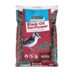 Pennington Premium 40 lb. Black Oil Sunflower Bird Seed Food 100542058