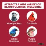 Pennington Premium 40 lb. Black Oil Sunflower Bird Seed Food 100542058