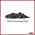 Pennington Premium 40 lb. Black Oil Sunflower Bird Seed Food 100542058