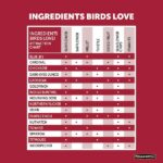 Pennington Premium 40 lb. Black Oil Sunflower Bird Seed Food 100542058