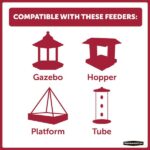 Pennington Premium 40 lb. Black Oil Sunflower Bird Seed Food 100542058