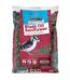 Pennington Premium 40 lb. Black Oil Sunflower Bird Seed Food 100542058