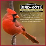 Pennington Premium 40 lb. Black Oil Sunflower Bird Seed Food 100542058