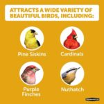 Pennington Premium 5.5 lb. Sunflower Chips for Wild Birds 100542052