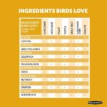 Pennington Premium 5.5 lb. Sunflower Chips for Wild Birds 100542052