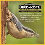 Pennington Premium 5.5 lb. Sunflower Chips for Wild Birds 100542052