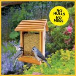 Pennington Premium 5.5 lb. Sunflower Chips for Wild Birds 100542052