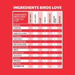 Pennington Premium Birder's Blend 6.5 lbs. Bird Seed Food Jug 100551204