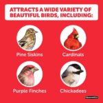 Pennington Premium Birder's Blend 7 lb. Bird Seed Food (2-Pack) 100542053