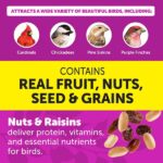 Pennington Ultimate 5.5 lbs. Nut and Fruit Bird Seed Food Blend Jug 100551205