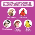 Pennington Ultimate 5.5 lbs. Nut and Fruit Bird Seed Food Blend Jug 100551205