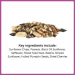 Pennington Ultimate 5.5 lbs. Nut and Fruit Bird Seed Food Blend Jug 100551205