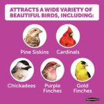 Pennington Ultimate 7 lb. Nut and Fruit Bird Seed Food Blend 100542049