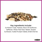 Pennington Ultimate 7 lb. Nut and Fruit Bird Seed Food Blend 100542049