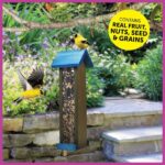 Pennington Ultimate 7 lb. Nut and Fruit Bird Seed Food Blend (2-Pack) 100542049