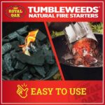 Royal Oak Fire Starter (16 Per Pack) 205228448