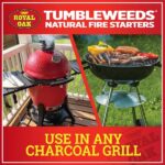 Royal Oak Fire Starter (16 Per Pack) 205228448