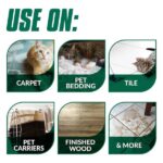 Simple Green 1 Gal. Cat Pet Stain and Odor Remover (4-Case) 2010000415312