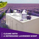 Simple Green 1 Gal. Lavender Scent All-Purpose Cleaner 1610000600128