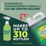 Simple Green 2.5 Gal. All-Purpose Cleaner (2-Pack) 2710100213225-2