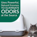 Simple Green 32 oz. Cat Pet Stain and Odor Remover (12-Case) 2010001215311