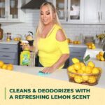 Simple Green 32 oz. Lemon Scent Ready-To-Use All-Purpose Cleaner (Case of 12) 2510001205032