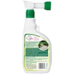 Simple Green 32 oz. Outdoor Odor Eliminator (2-Pack) 7170102000002