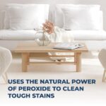 Simple Green 32 oz. Ready-To-Use Carpet Cleaner (Case of 12) 0510001201032