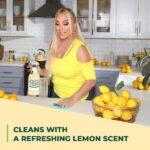 Simple Green 67.6 oz. Lemon Scent All-Purpose Cleaner (Case of 6) 3010000614007