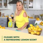 Simple Green Lemon Scent 32 oz. Daily Cleaning Kit 1300000130006