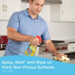 Windex 23 fl. oz. Multi-Surface Disinfectant Glass Cleaner 305498