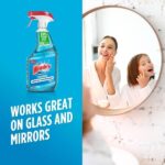 Windex 23 fl. oz. Original Glass Cleaner 313042