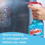 Windex 32 oz. Commercial Line Trigger Bottle Original Glass Cleaner and 128 oz. Commercial Original Glass Cleaner Refill. 308534