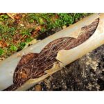 ZEP 32 oz. Root Kill ZROOT24